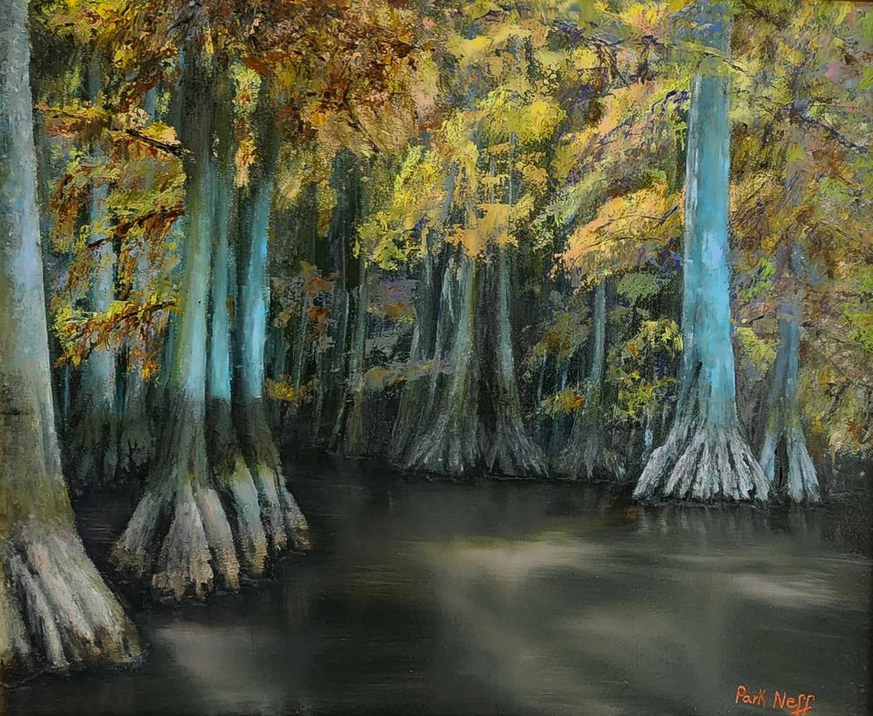 177-Cypress and Light